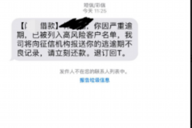 黟县为什么选择专业追讨公司来处理您的债务纠纷？